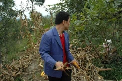 父母双亡后，我独立抚养弟弟长大，他在婚礼上的做法让我又哭又笑