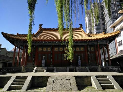 如果在洛南遇见你