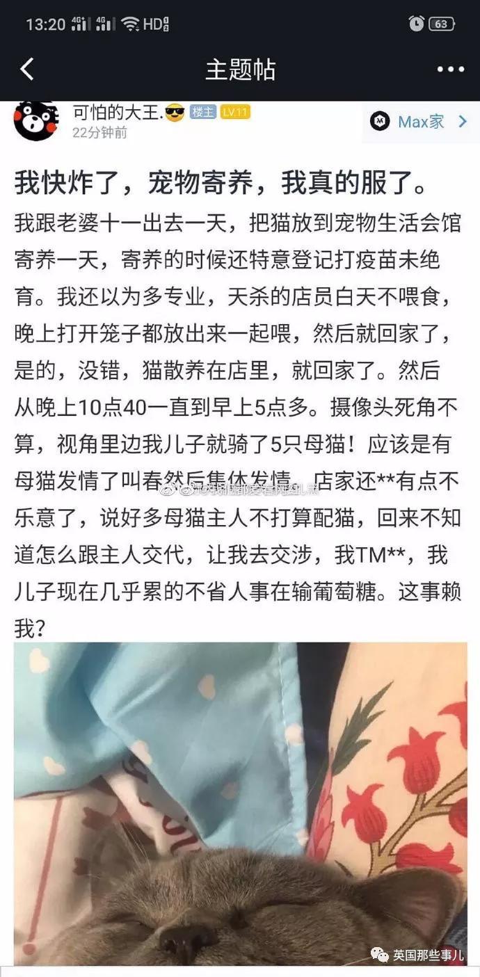 一晚啪了5只喵，累到在医院打点滴，这中国喵把英国人看傻了