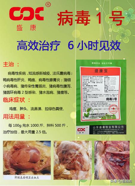 关于肉鸭脾坏死的原因及防治方法，这篇最全面，值得收藏