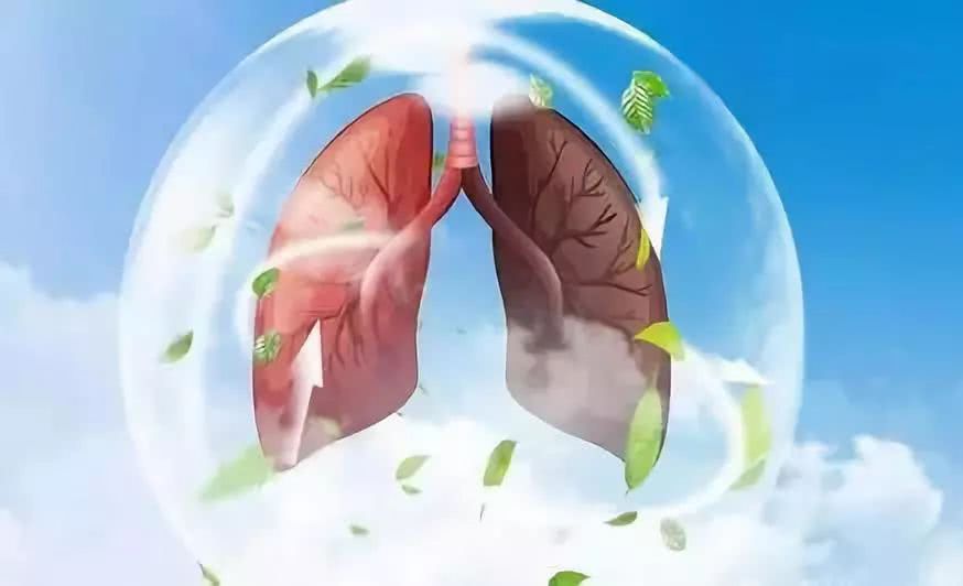 肺气不够和肺气虚如何调理,肺主皮毛肺气不够怎么办