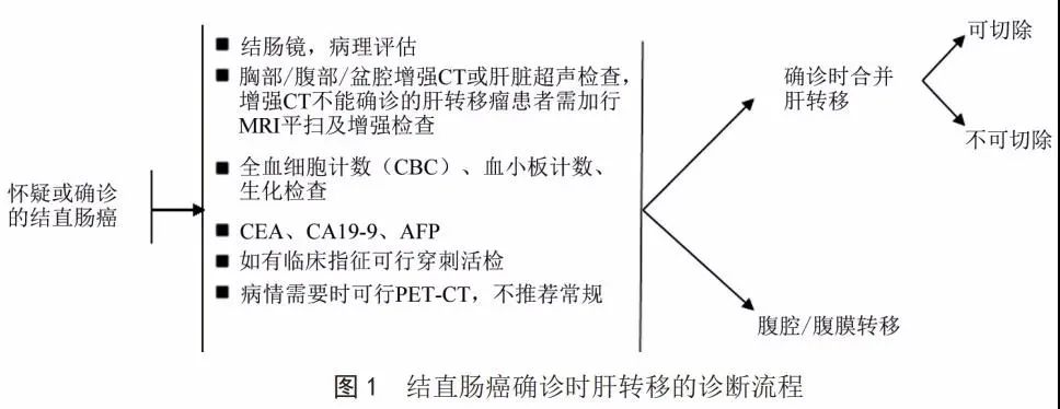 县中医院首例腹腔镜手术圆满成功,直肠癌腹腔镜手术成功案例