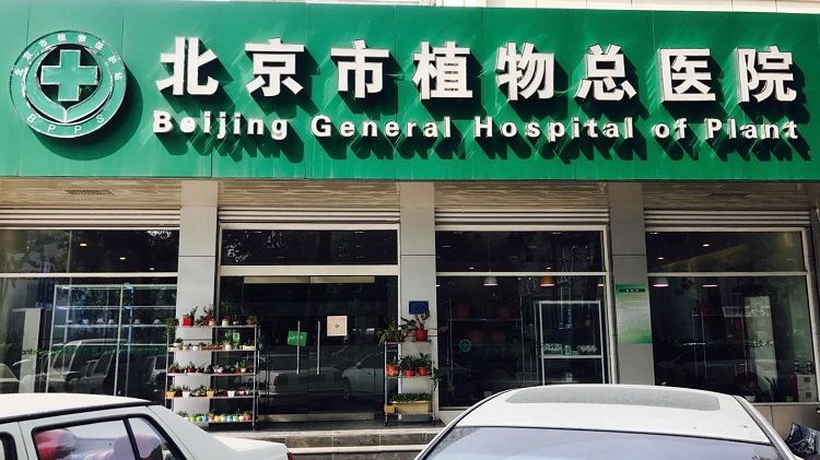 植物生病药怎么用,家里的植物病怎么治