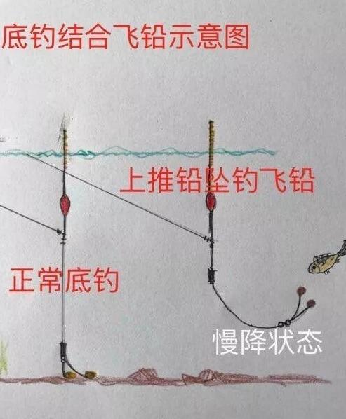 钓草鱼飞铅调漂的正确方法,半飞铅钓法怎么调漂全过程