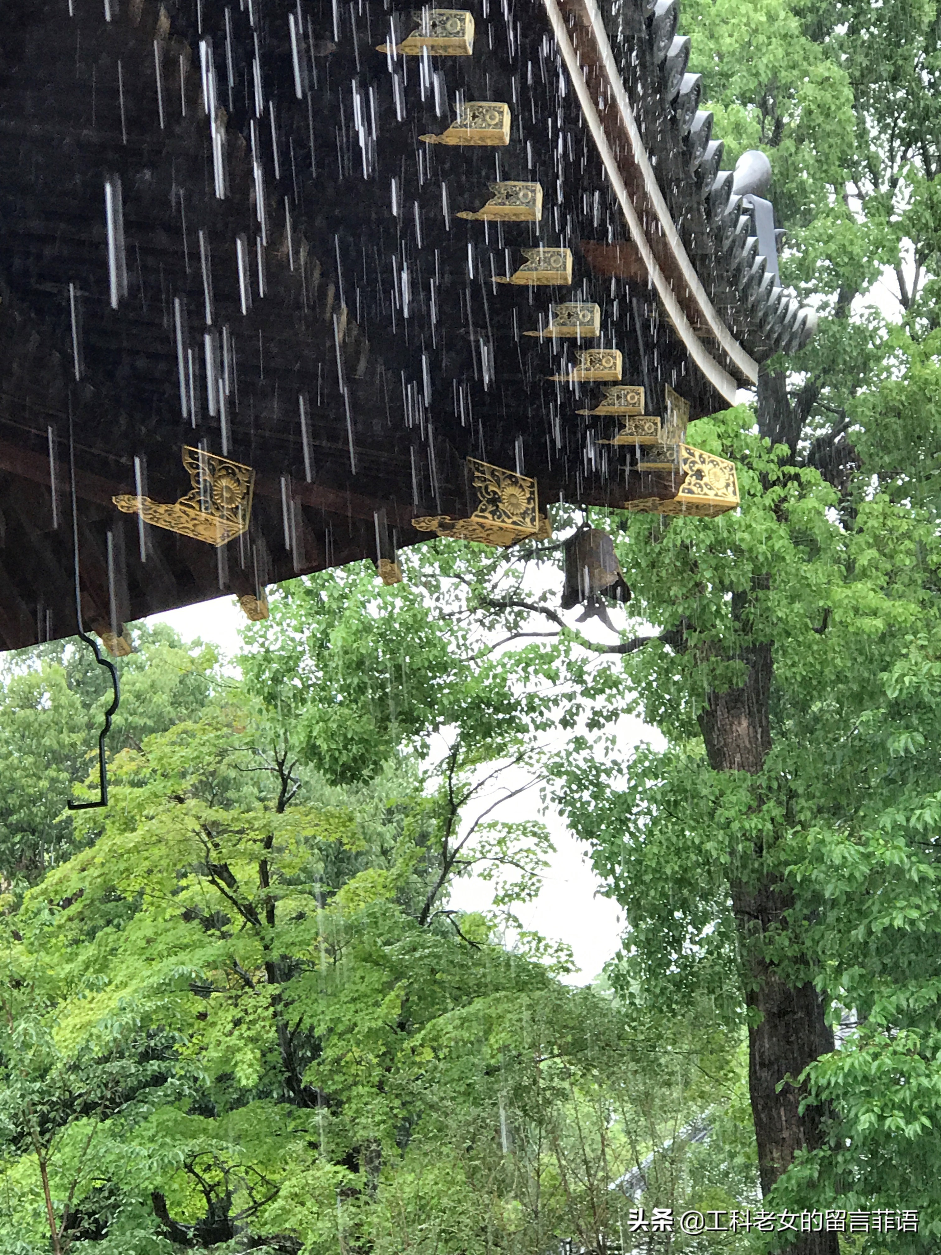 夏天去京都关注哪些事项,盛夏去哪玩