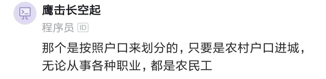 程序员新生代农民工,程序员被定义为新时代的农民工