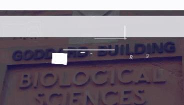 澳洲国宝级食物,澳洲超级食物推荐