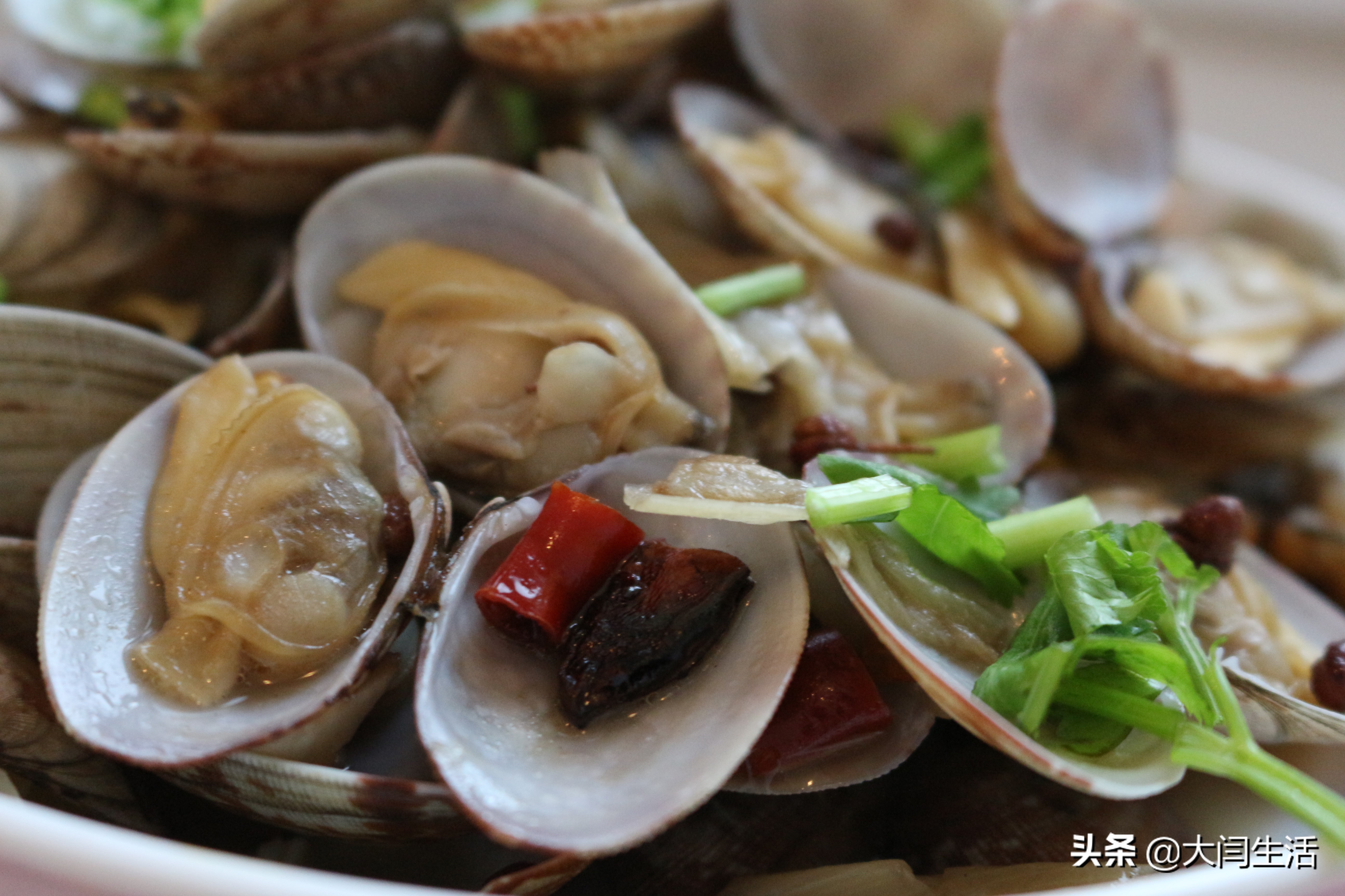 炒花蛤怎么吐沙干净,花蛤吐沙的正确做法