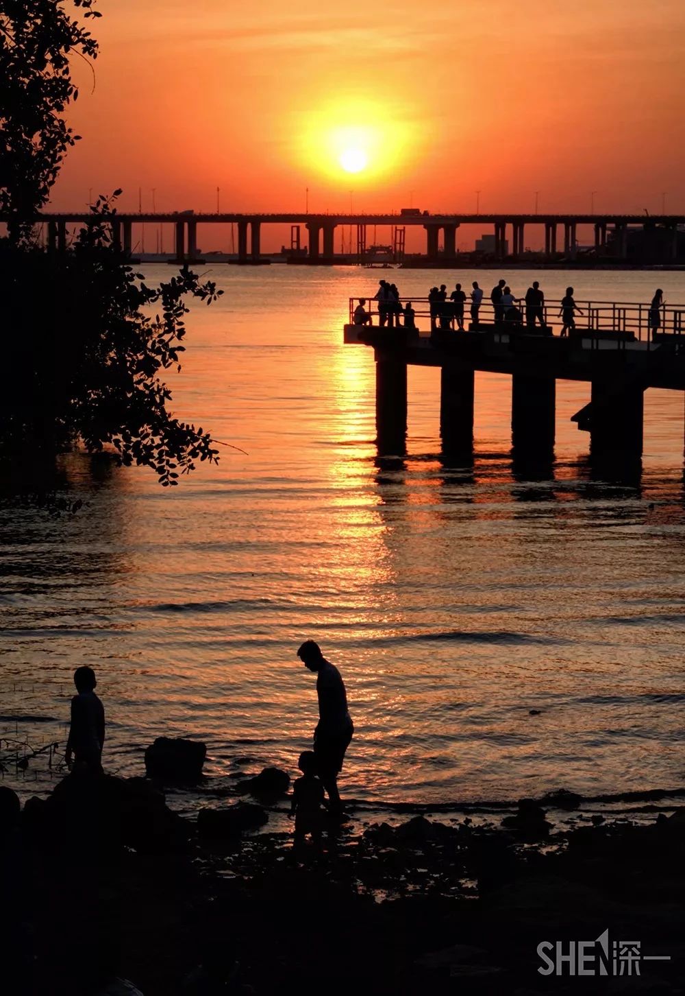 深圳1号线晚上好去处,地铁深圳一号线哪里好玩