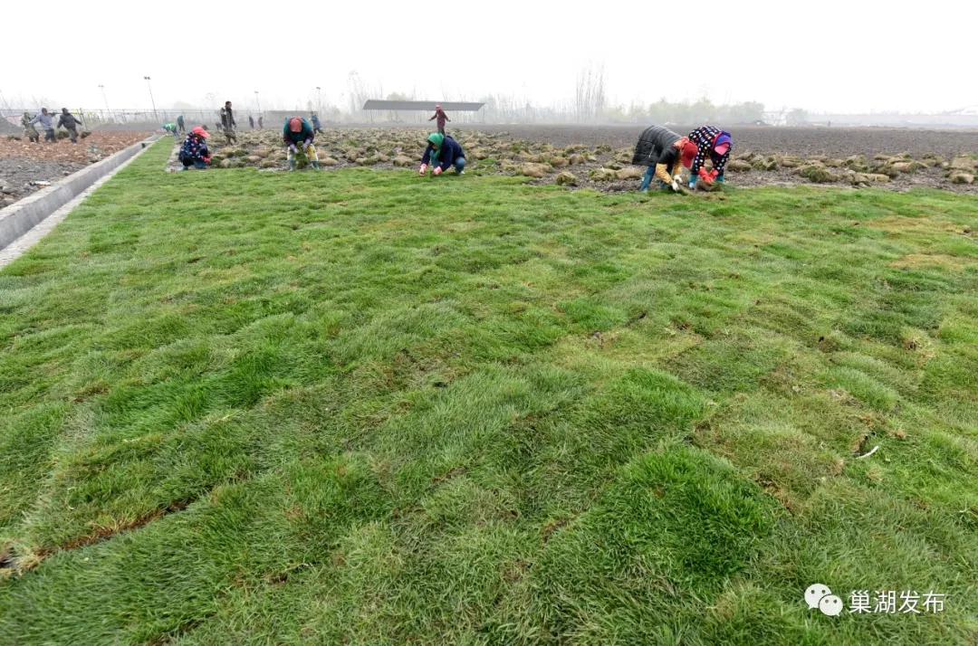 最好的人工草坪足球场,巢湖免费足球场