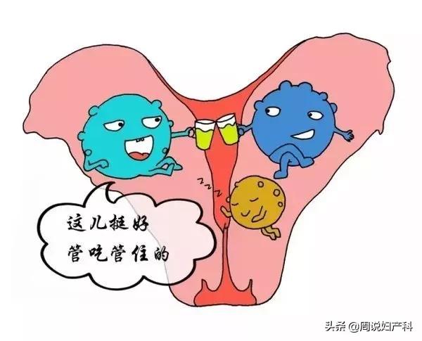 经血多会导致子宫腺肌症,经量增多经期延长见于哪些病