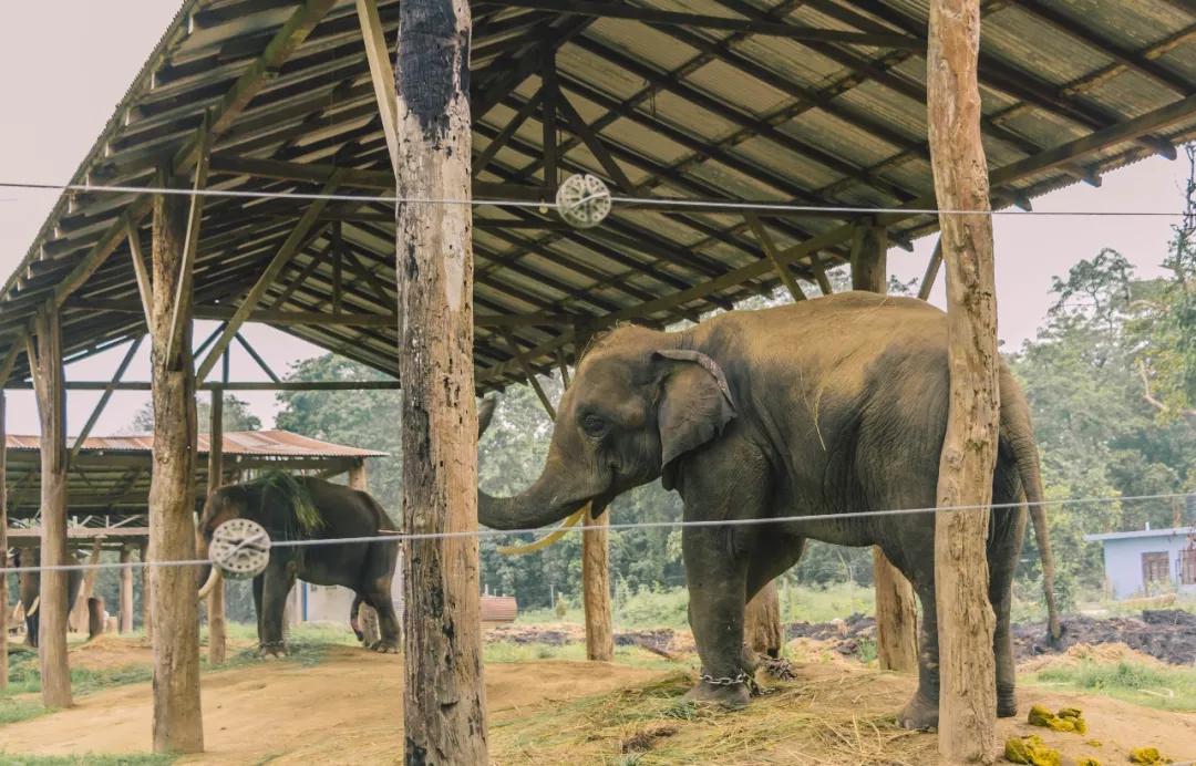 这个微笑国度，见人就夸漂亮，300元就能在天空滑翔