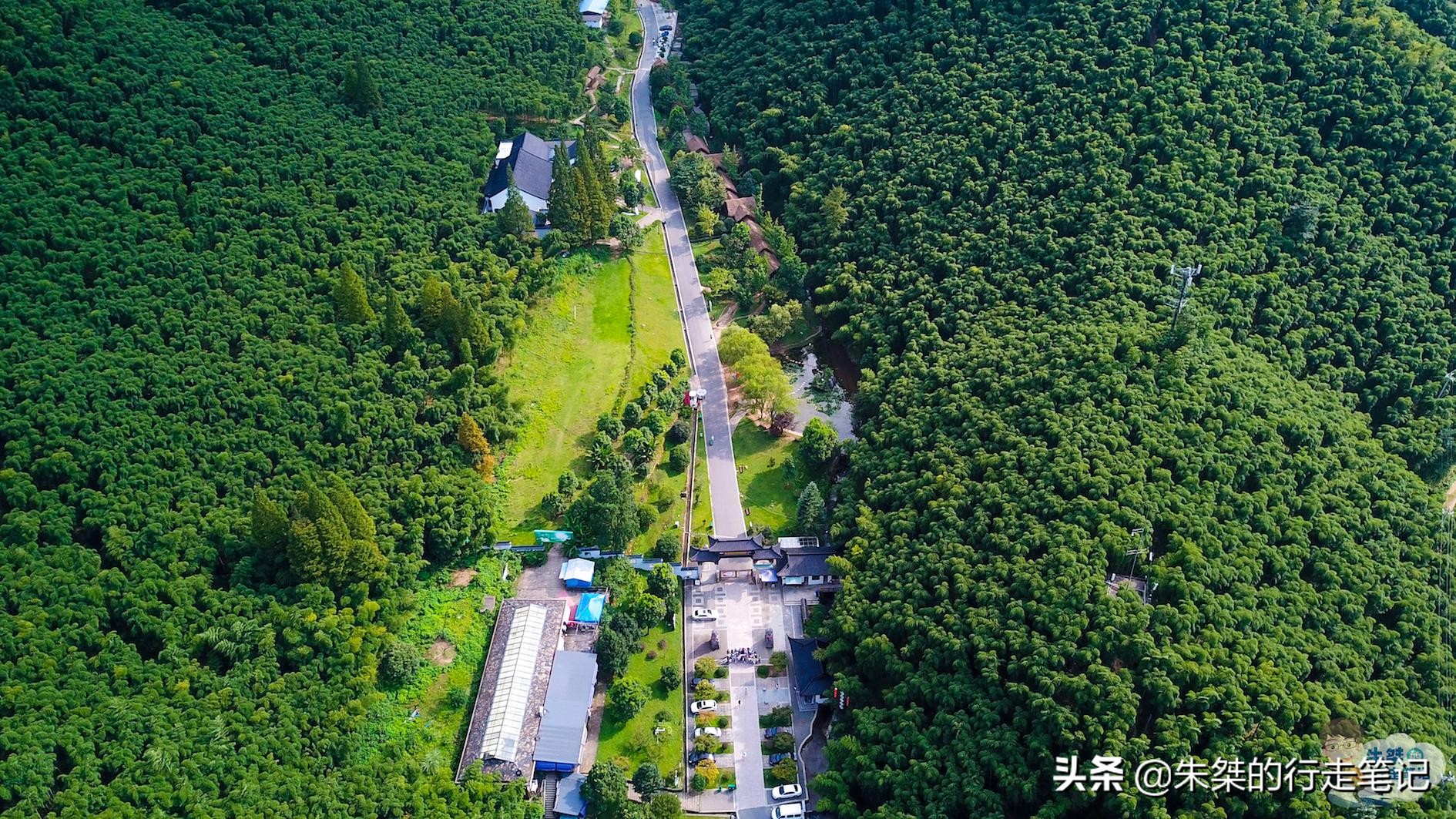 全国有名竹海,华东第一竹海的宜兴