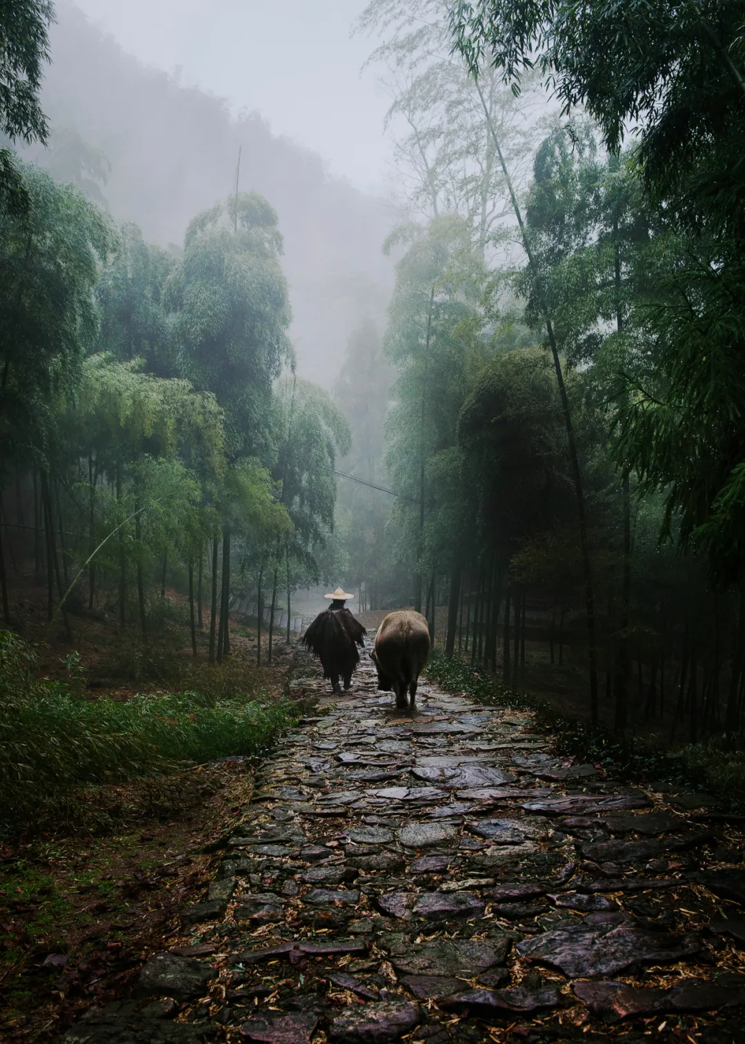 我为什么建议你来北上广深奋斗,衢州旅游推荐地方