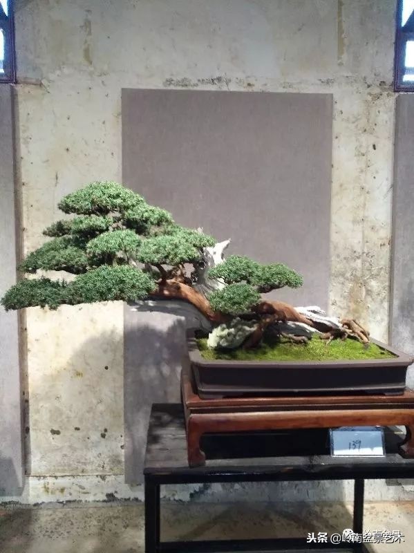 閲戝脊瀛愬湪鐩嗘櫙涓殑鍦颁綅,姒嗘爲鍦ㄧ泦鏅晫鍦颁綅