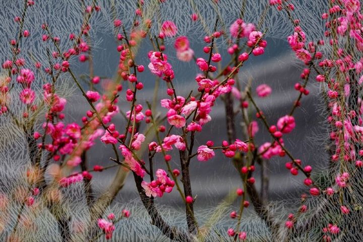 这些绝美的成语，都有一个唯美的出处！（建议收藏）