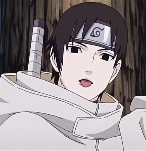 火影忍者中最浪费的设定——木叶十二忍