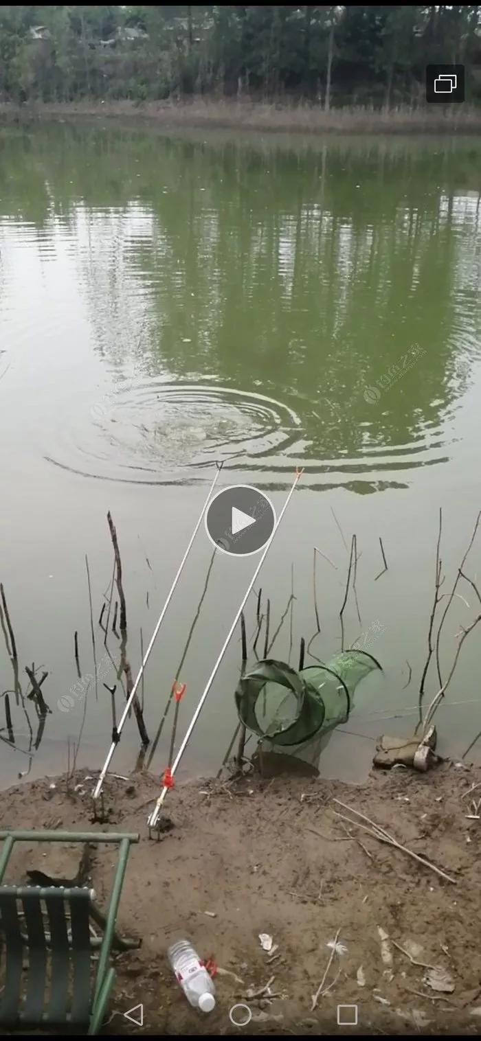 探钓废旧鱼塘之断竿，一波三折