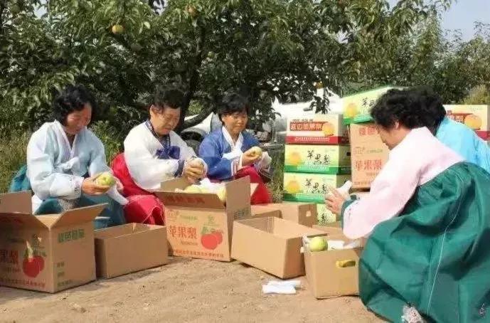 这个吉林特产，贼解秋燥！