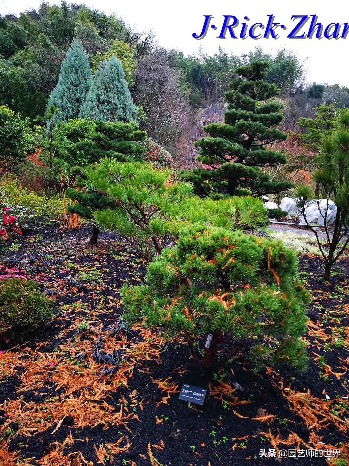 园艺研学报告,园艺园林研学