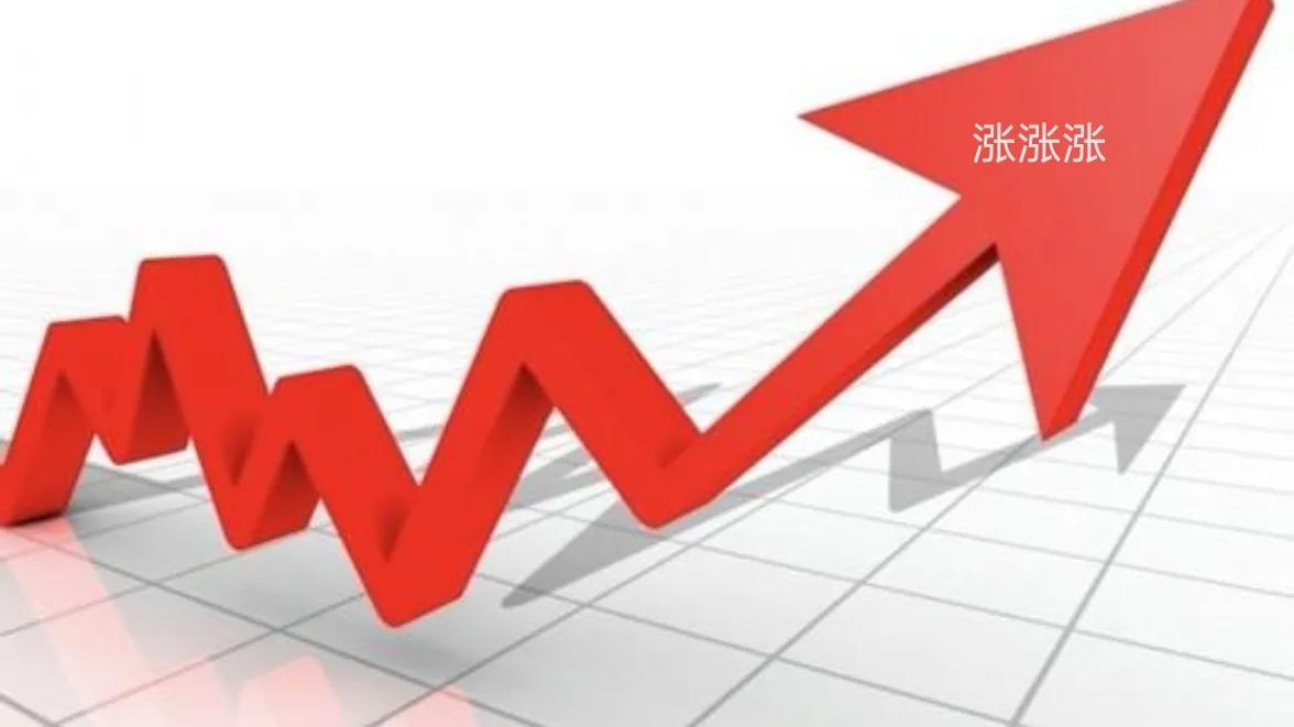 企业退市后股民手中的股票怎么办,上市公司主动退市剩下的股票咋办