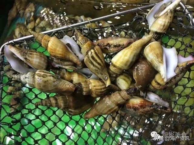 这些诱人的美食你吃过吗,世界上顶级海鲜大全你吃过几种