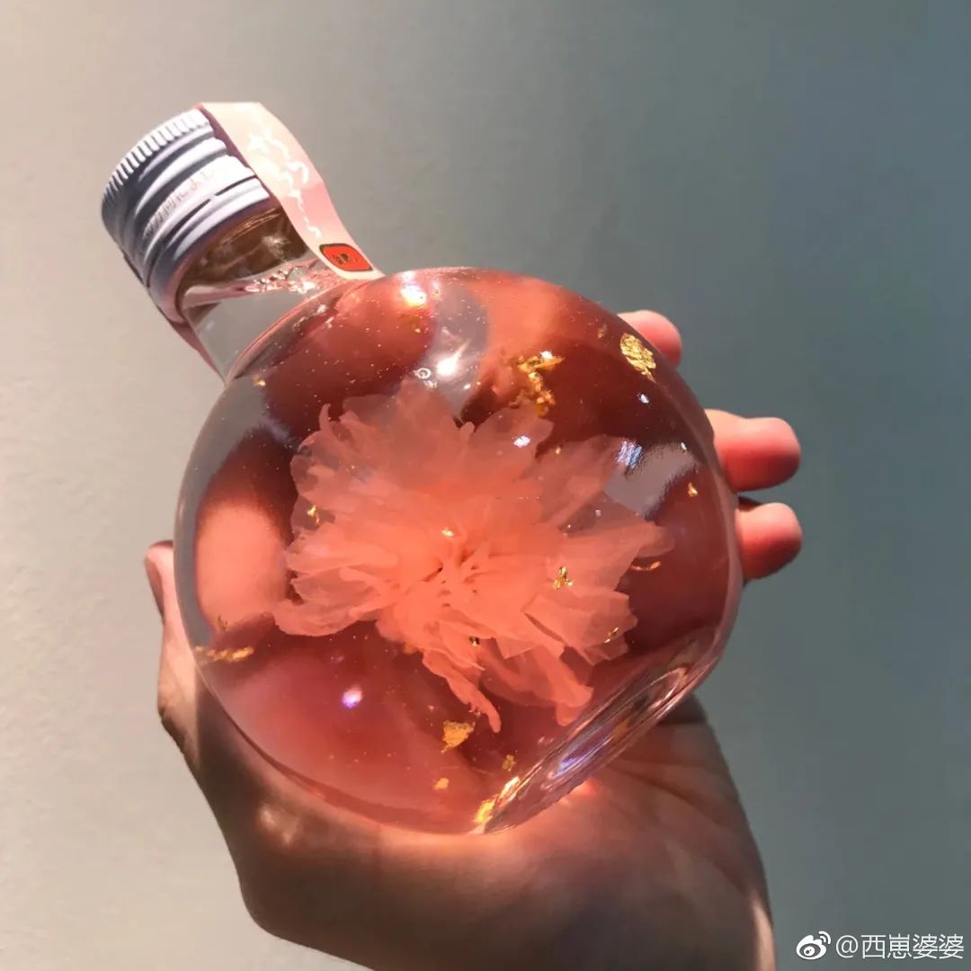 樱花上最好吃的食物,樱花里面的日本料理