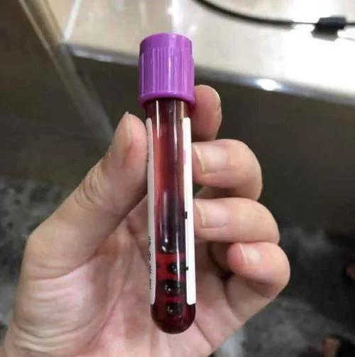 2023年孕妈建档流程,孕妈建档去哪里