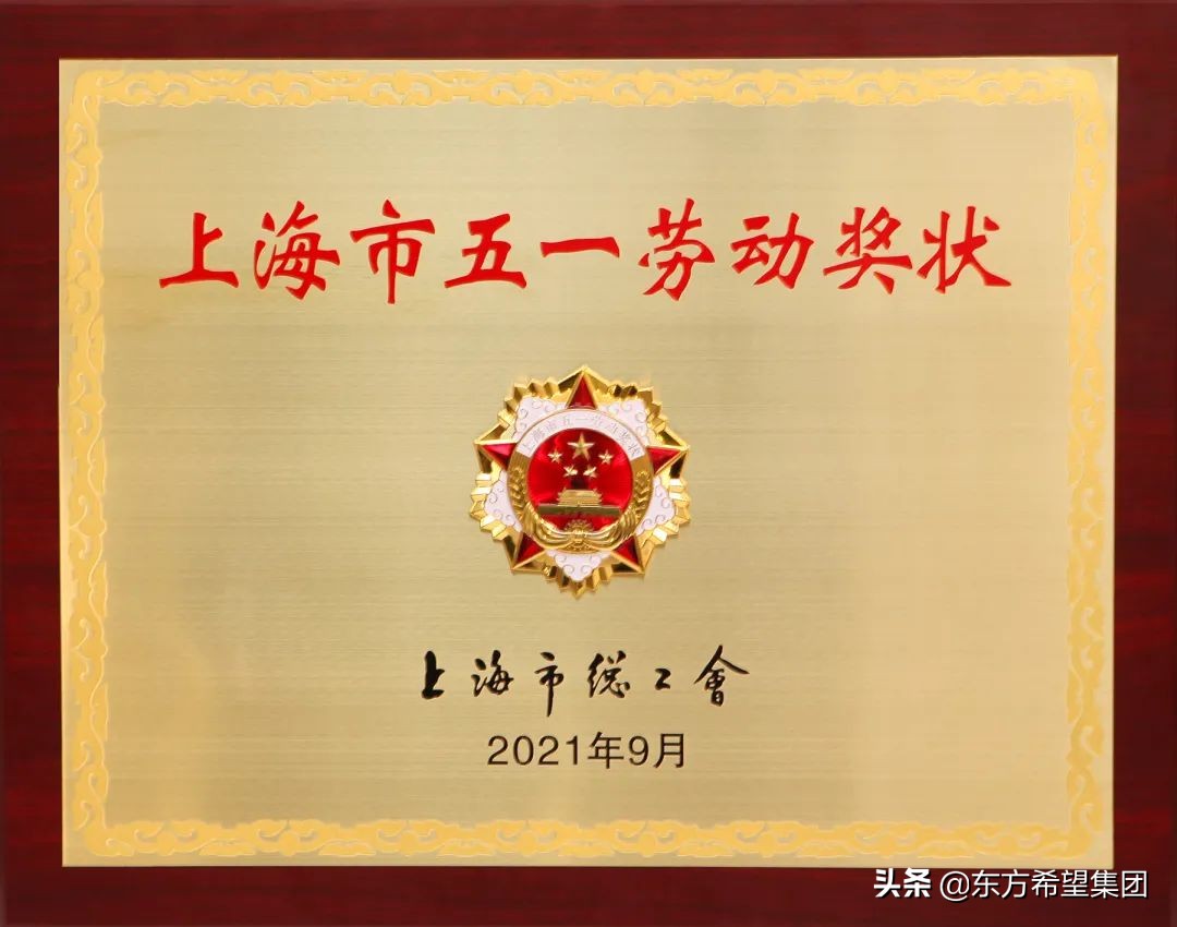 又获奖啦！东方希望集团荣获2021年“上海市五一劳动奖状”