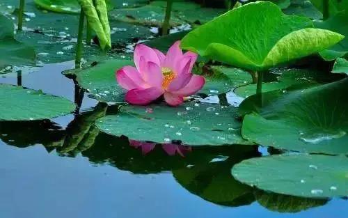 网络套路深投资需谨慎,网络投资遇骗局背后操作竟是这样