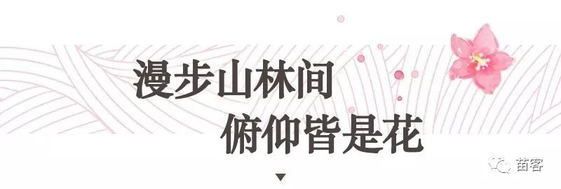 微时光田东,微时光美好生活