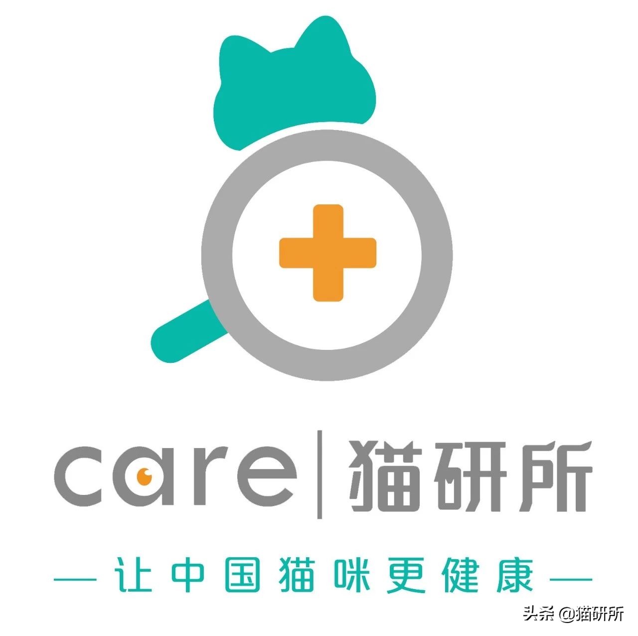 猫咪航空托运全面解析铲屎官必看,八大航空公司针对托运猫咪要求