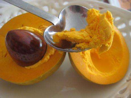 各种没见过的热带水果,常见的热带水果有哪些