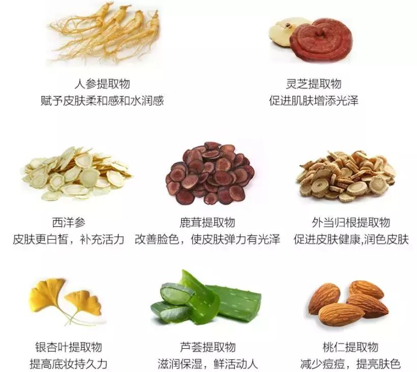 三分钟测评平价粉底液,日韩和欧美粉底液哪个好