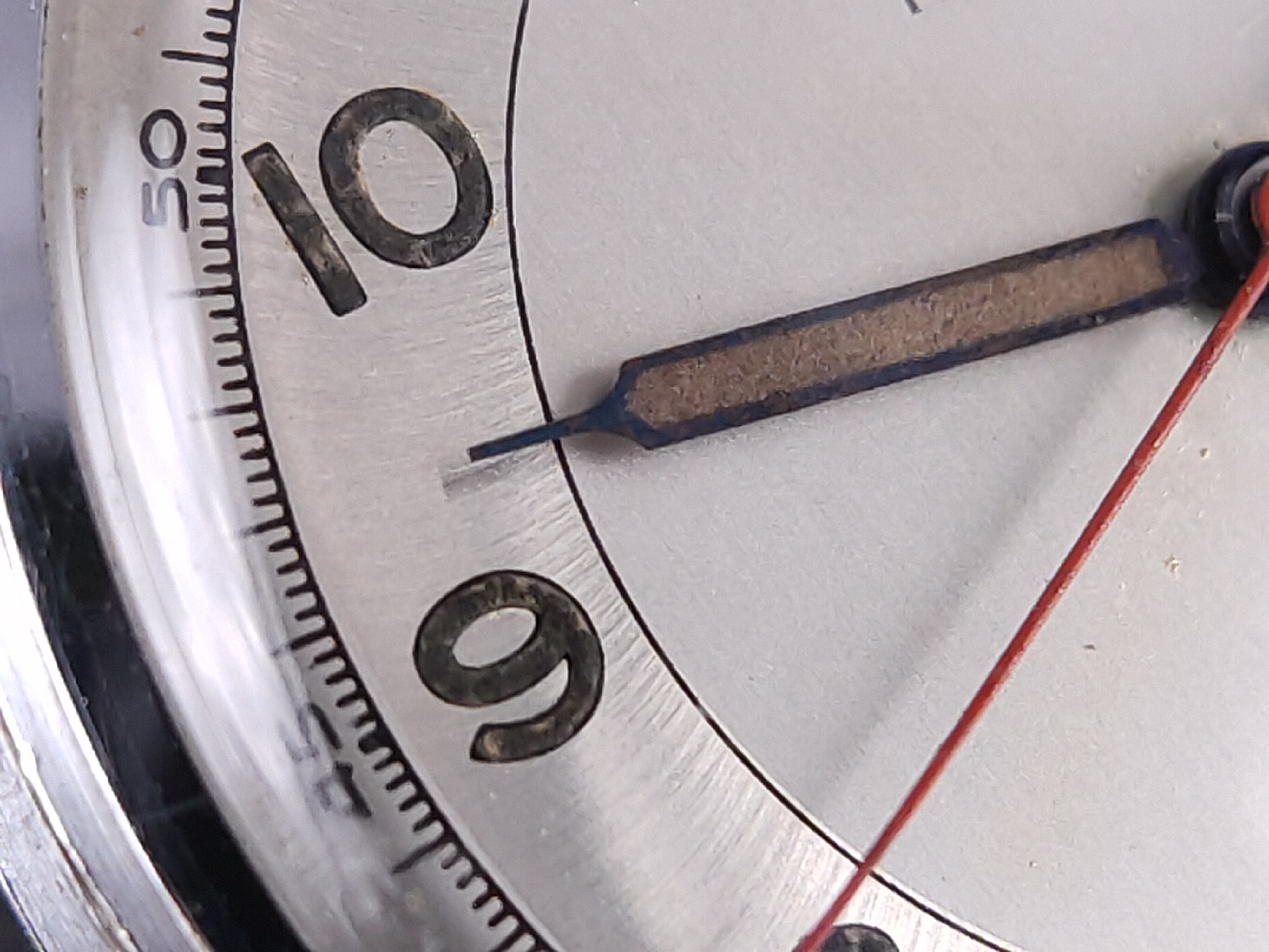 因为一条鱼爱上一个人,因一条鱼丢了一条命