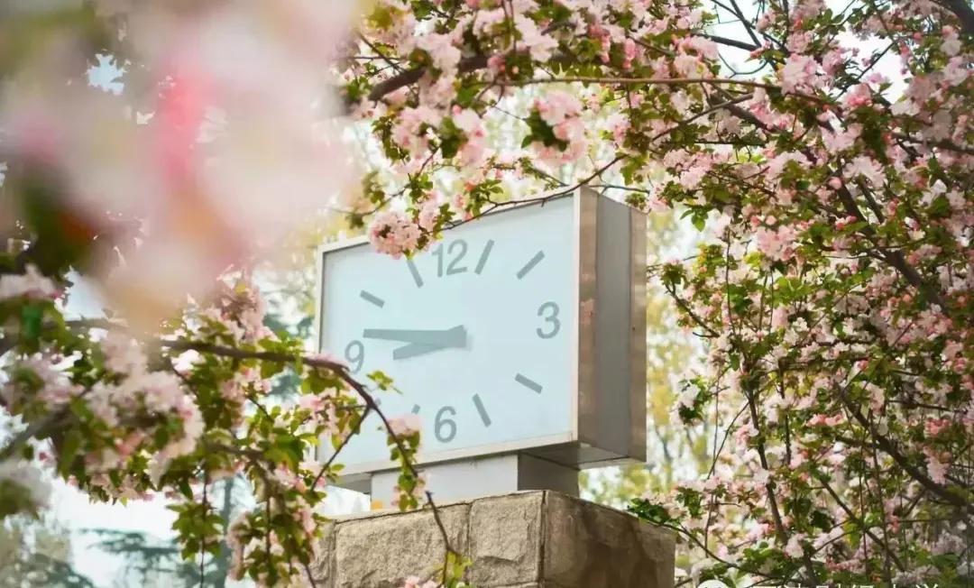 天津普通本科的大学,天津普通高校多少所大学