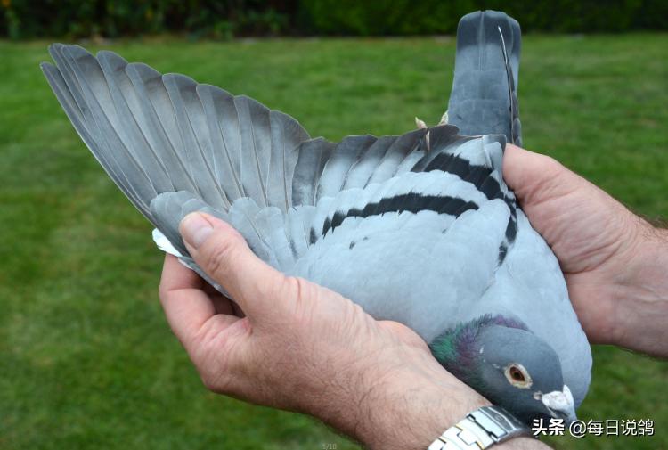 马赛夺冠,马赛92冠军