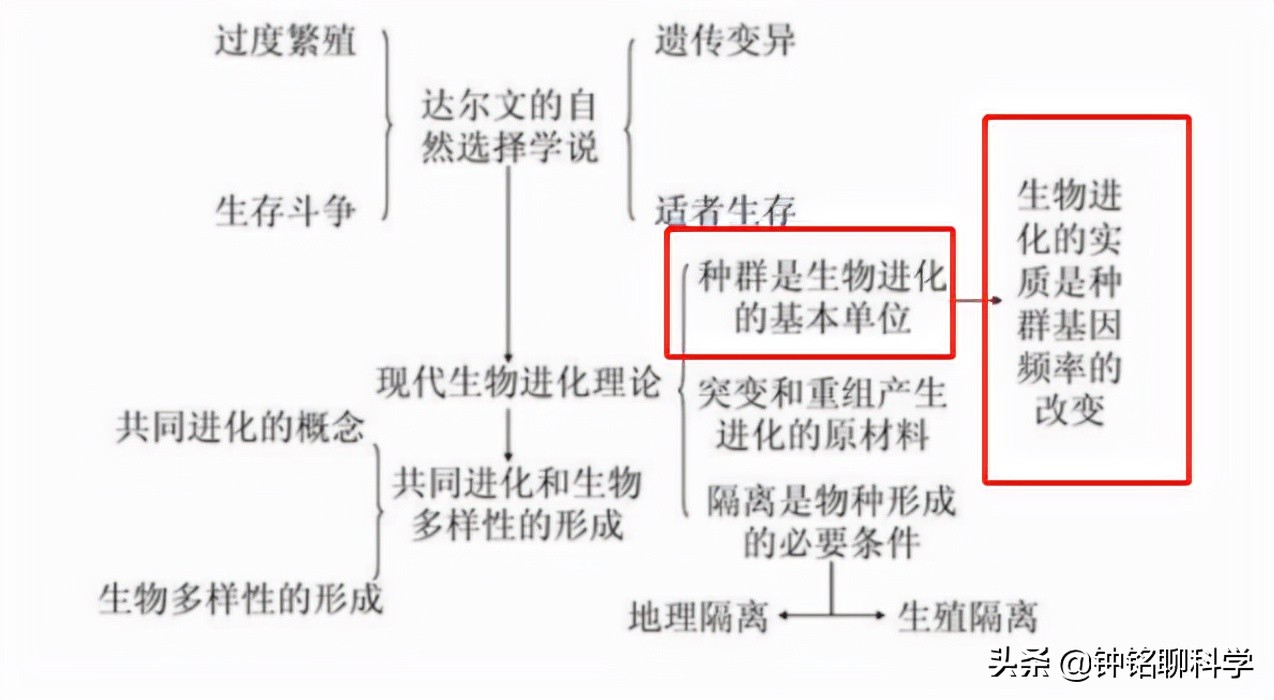 人都是女人生的，早在人类形成之前，第一个女人是怎么来的？