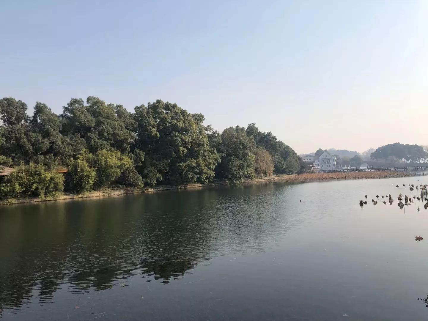 一枕寂寞，不道离别