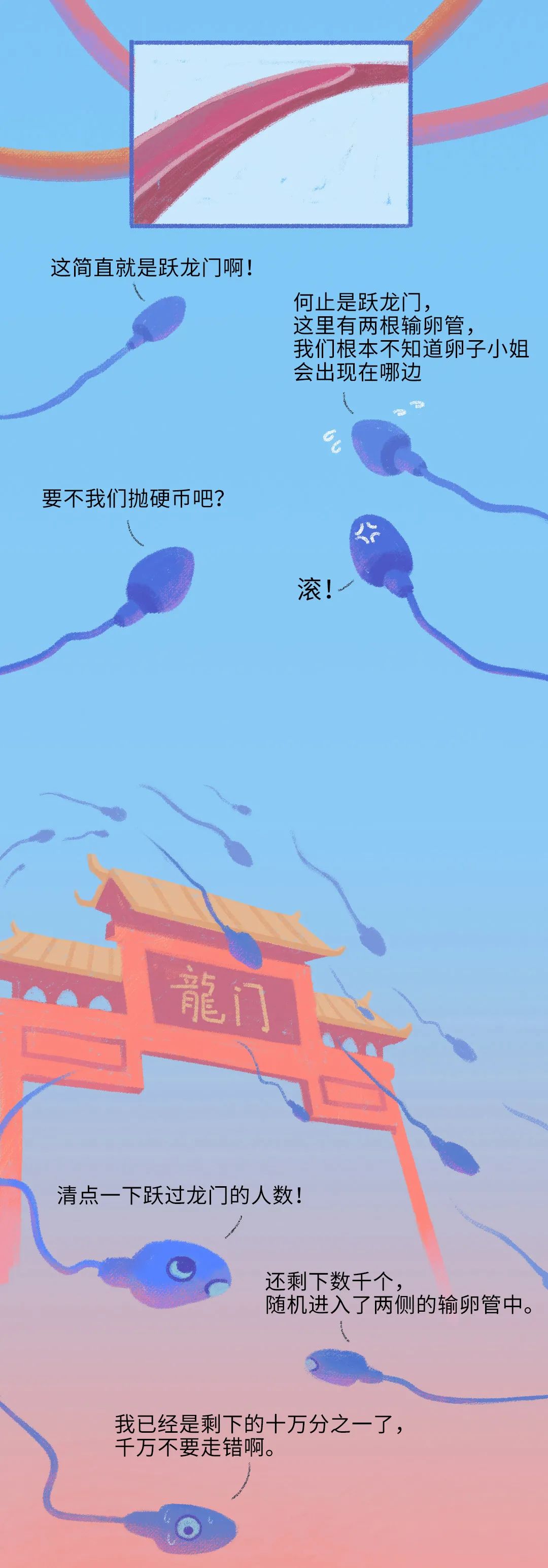 精子进入人体24小时变化,精子在人体24个小时都经历了什么