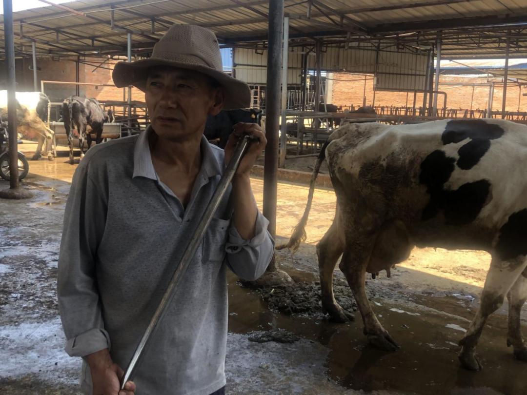 【沿着高速看西昌】高草村：农牧结合循环利用发展绿色生态养殖