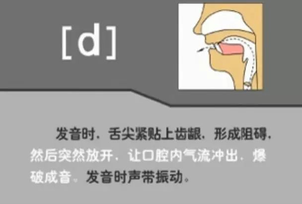 英语音标发音表48个音标正确读法,英语干货48个音标快速记忆法下