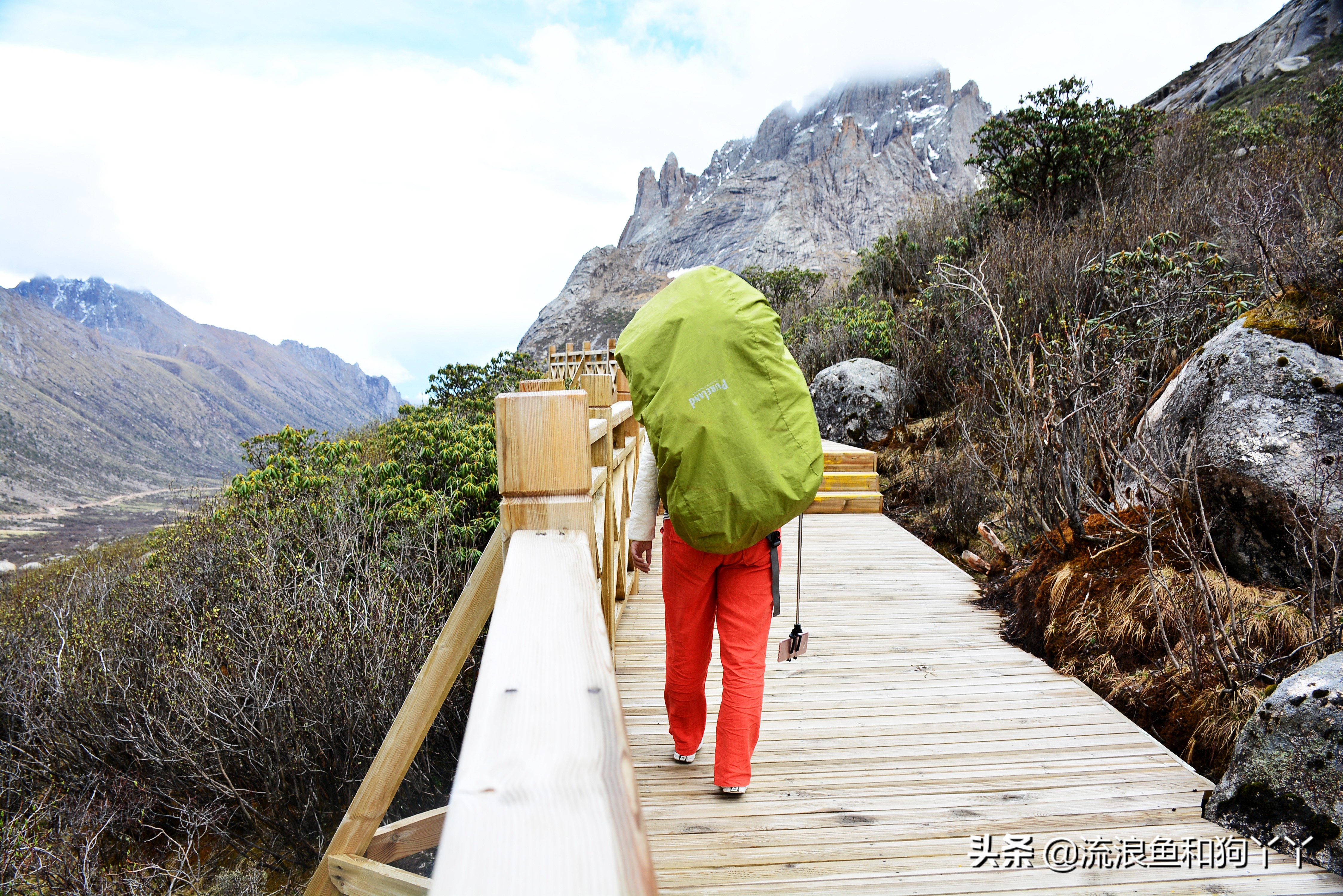 年保玉则现在开放了吗,年保玉则为啥被封
