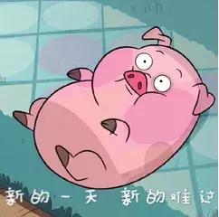 为什么生肖猪蛇猴最好,今年属虎猴蛇猪运势怎么样