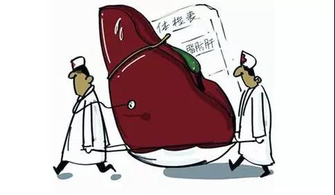 肥胖会引起肝疾病吗,肥胖导致肝损害