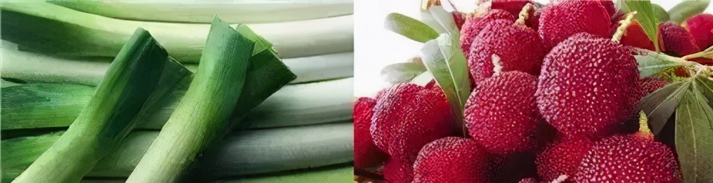 兰溪杨梅正式开摘！最强采摘攻略出炉，五十里杨梅长廊够吃吗？杨梅自由就是现在！