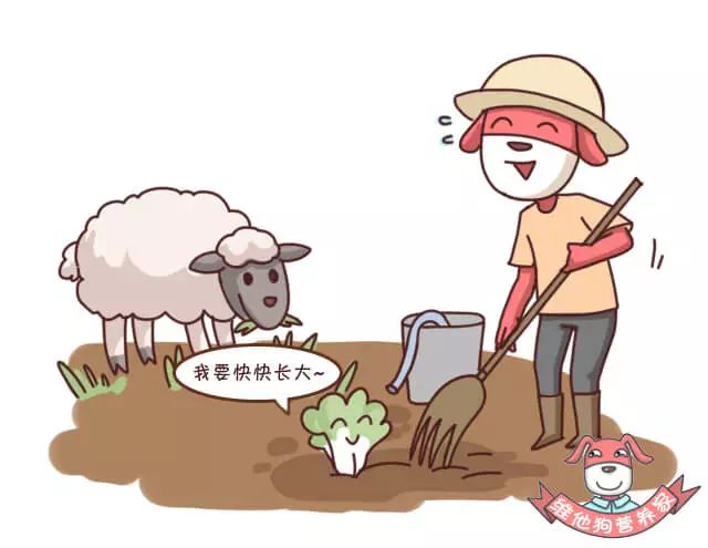 出远门失眠,出门出差便秘吃什么药才有效