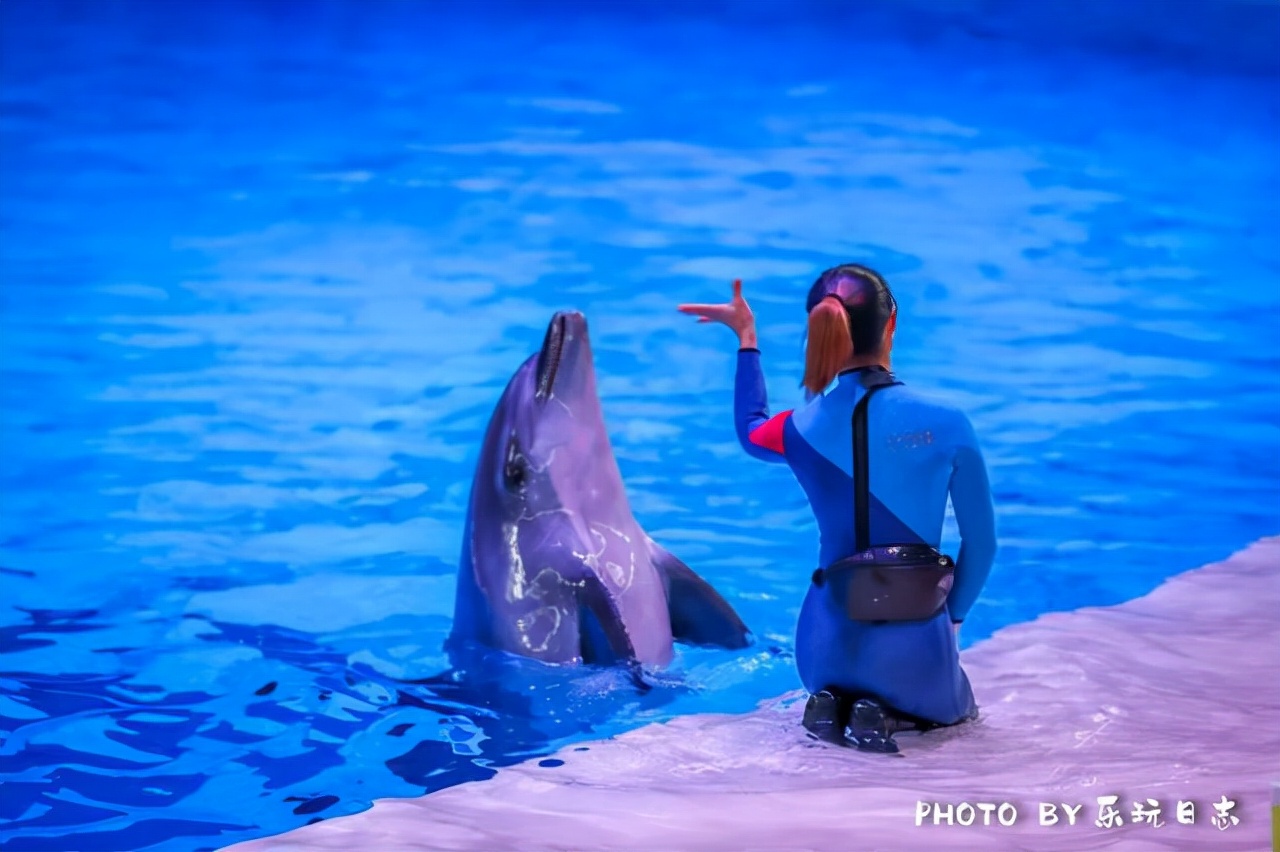 来珠海旅游必打卡的景点,春节珠海亲子游玩地方推荐