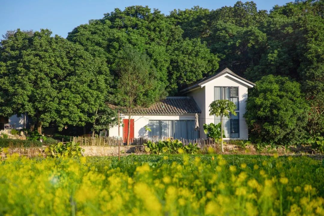 惠阳区名胜古迹,惠阳淡水八景