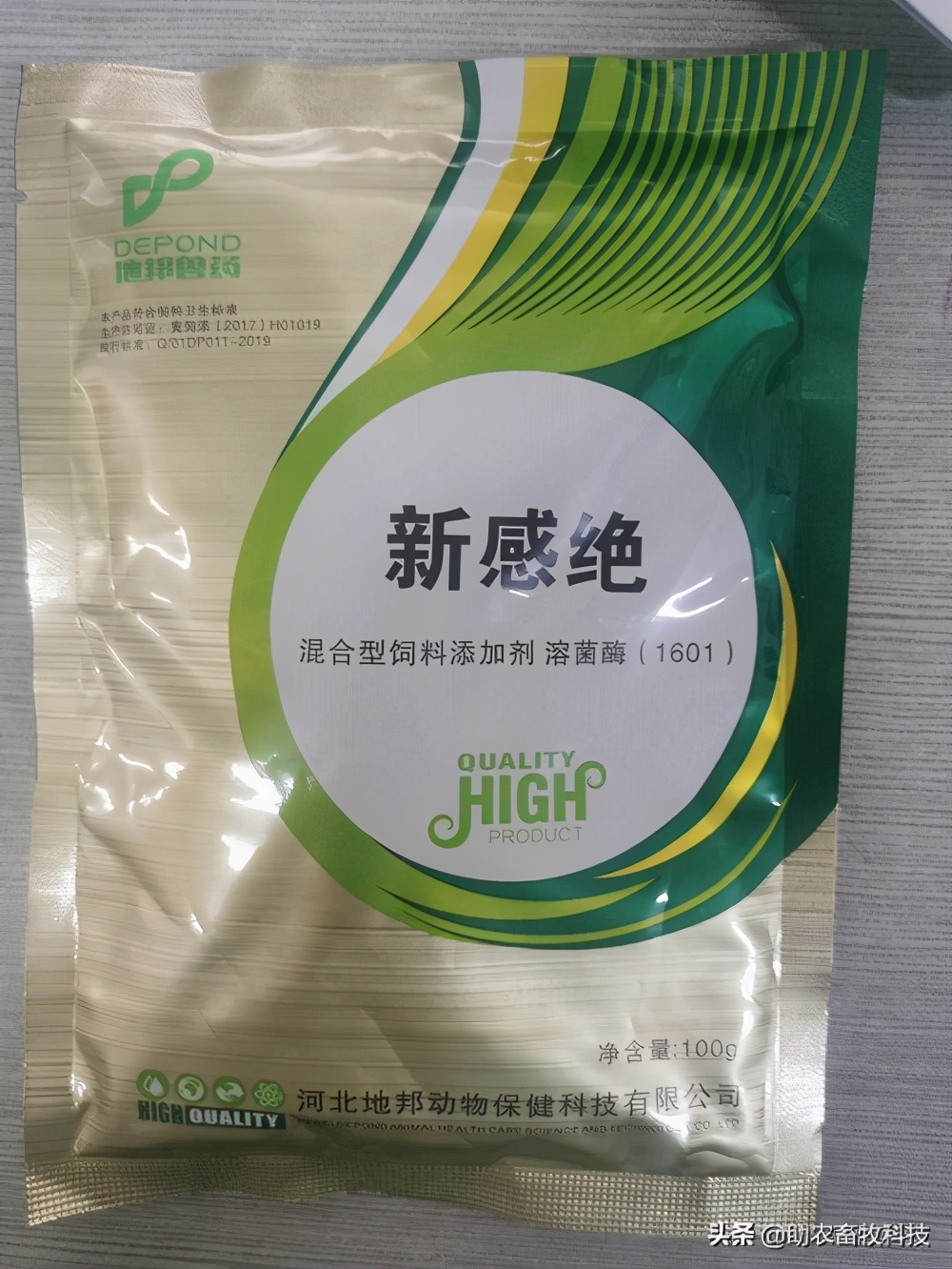 鹅肠道病的症状与治疗,快速判断鹅病的四种方法